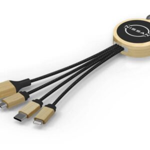 Câble Multi Tête 3 en 1