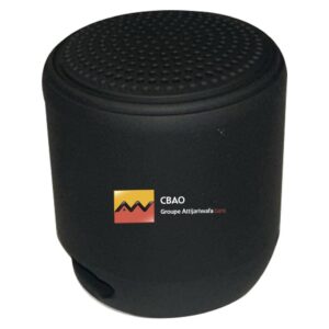 Mini Haut Parleur ABS